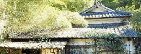 即時現金化可能