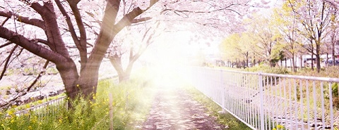 住宅ローンがあってもOK